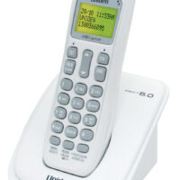 DECT 1015