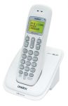 DECT 1015