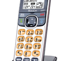 DECT 3106