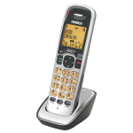 DECT 3005